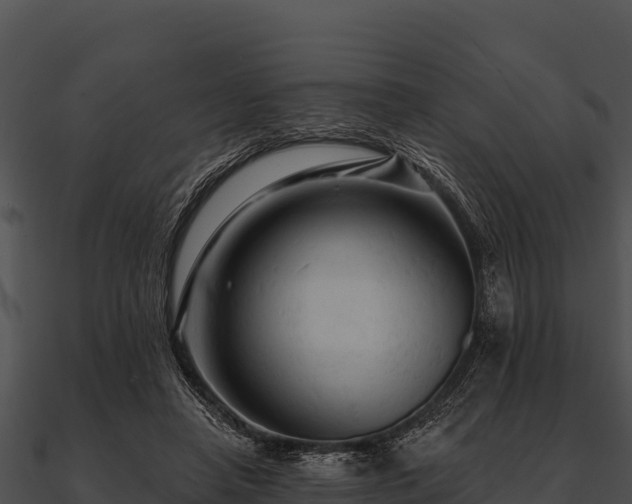 X0000090890450200708031056