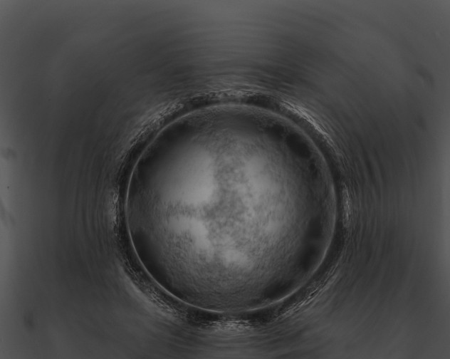 X0000090890451200708031056