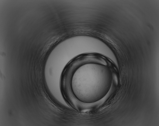 X0000090890452200708031056