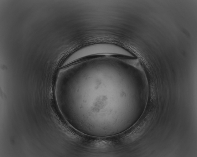 X0000090890453200708031056