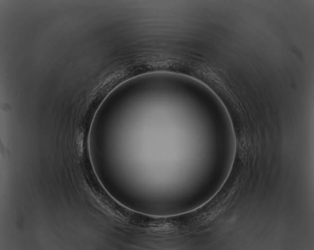 X0000090890454200708031056