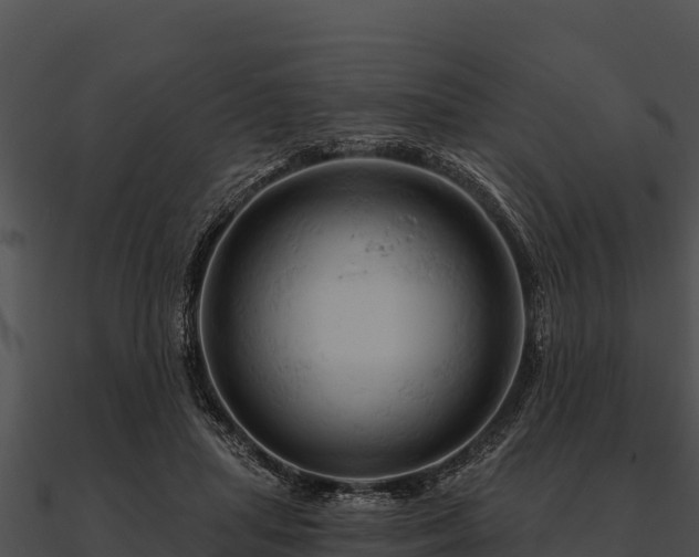 X0000090890455200708031056