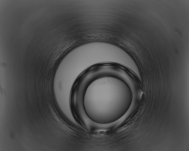 X0000090890456200708031056