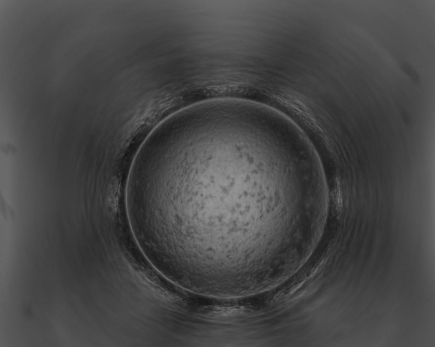 X0000090890458200708031056