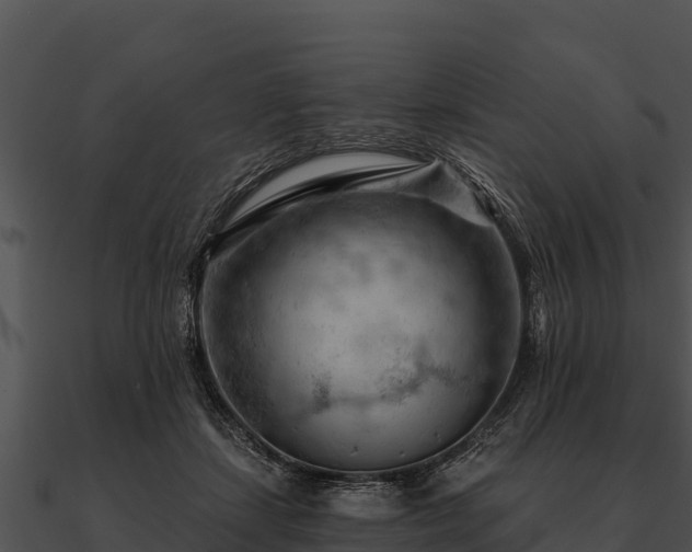 X0000090890459200708031056