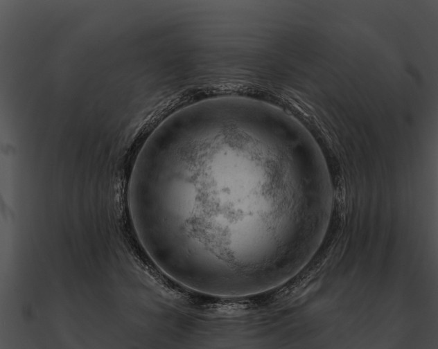 X0000090890462200708031056