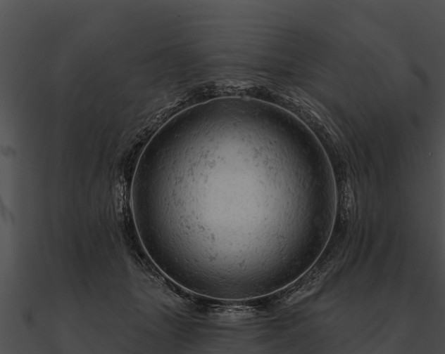 X0000090890463200708031056