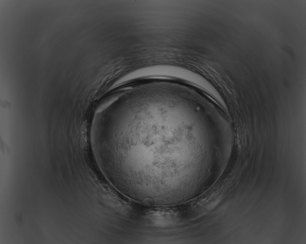 X0000090890466200708031056