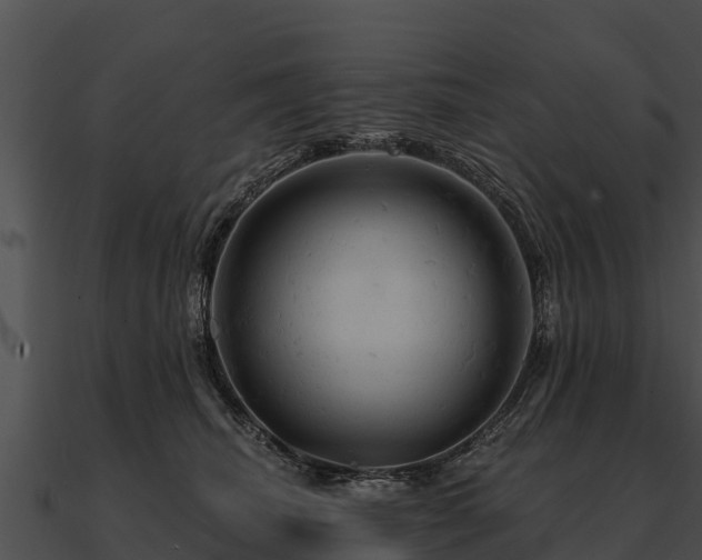 X0000090890468200708031056