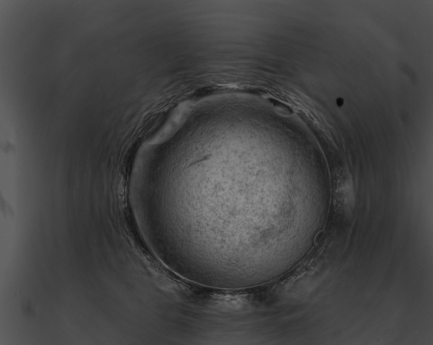 X0000090890469200708031056