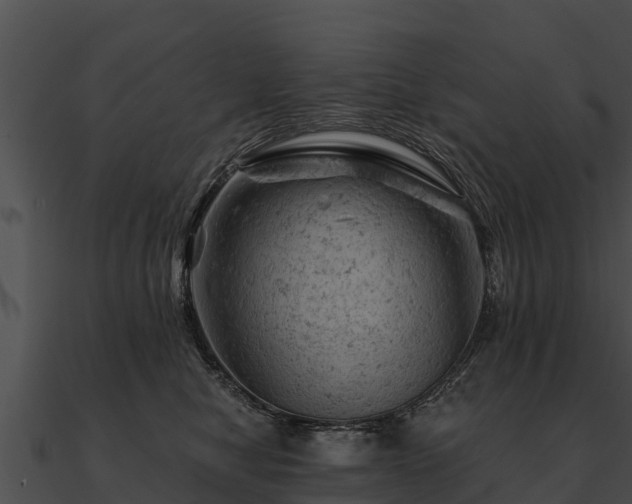 X0000090890470200708031056