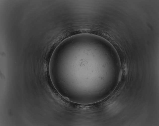 X0000090890472200708031056