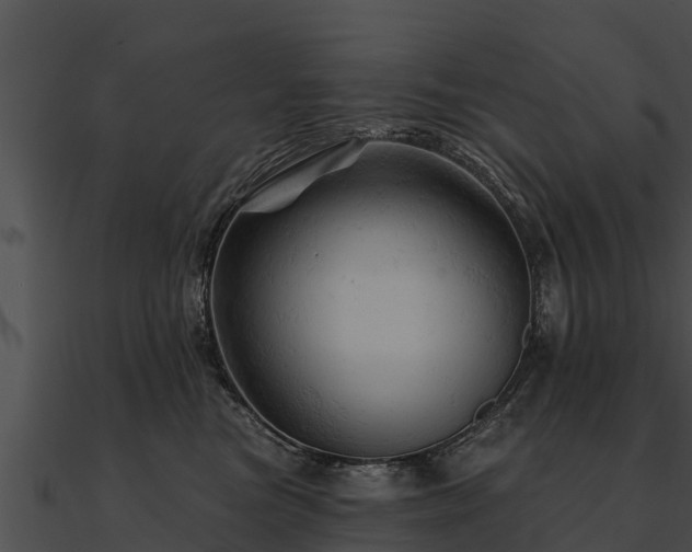 X0000090890473200708031056