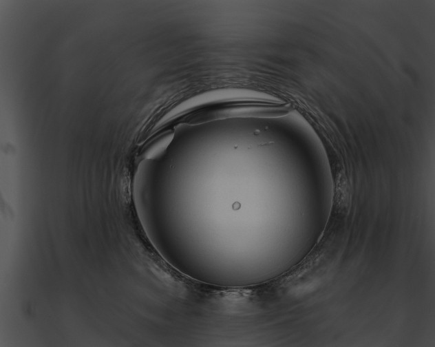 X0000090890474200708031056