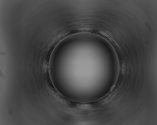 X0000090890476200708031056