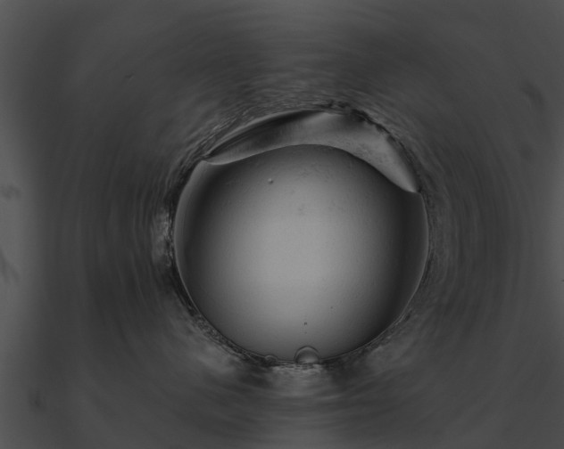 X0000090890480200708031056