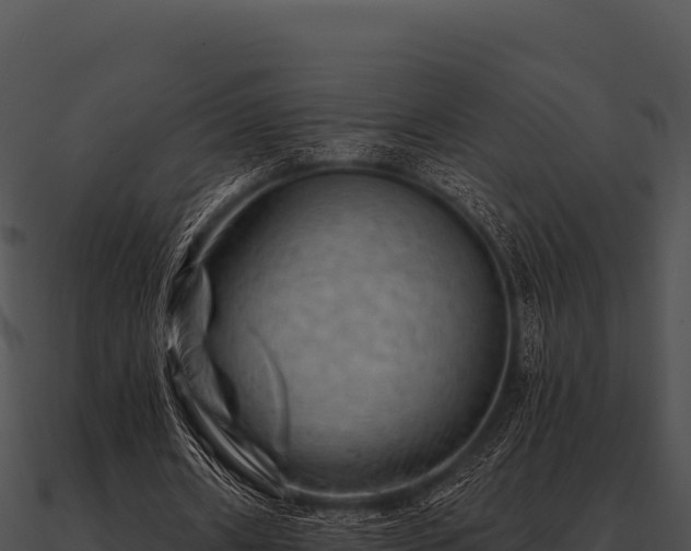 X0000090890482200708031055