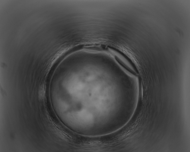 X0000090890483200708031055