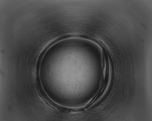 X0000090890484200708031055