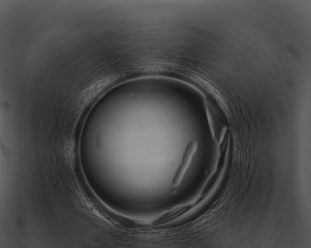 X0000090890485200708031055