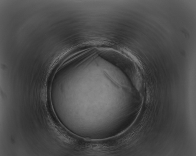 X0000090890486200708031055