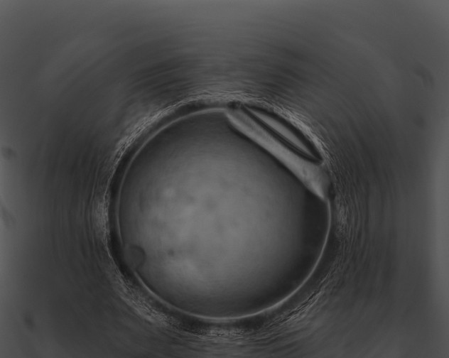 X0000090890487200708031055