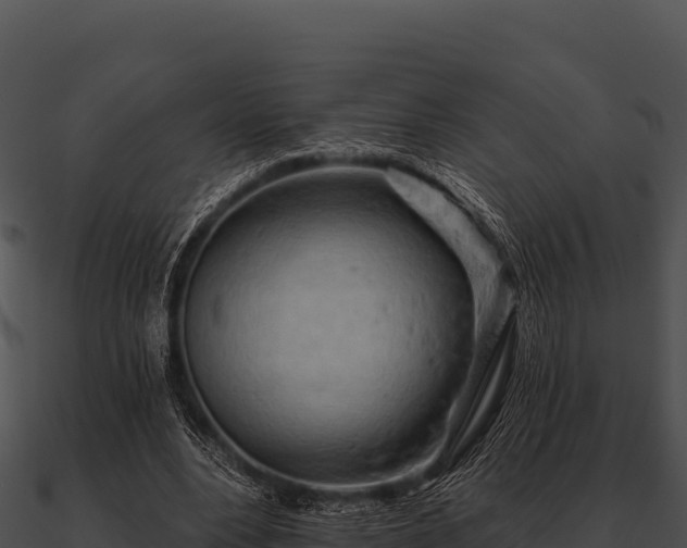 X0000090890488200708031055