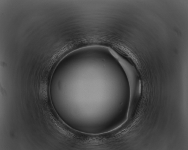 X0000090890489200708031055