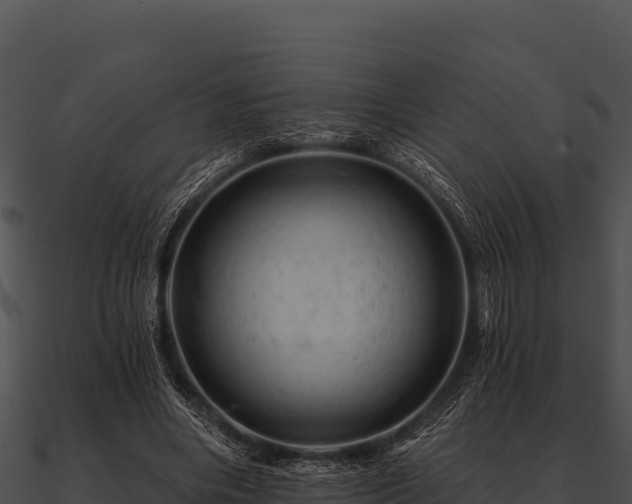 X0000090890490200708031055