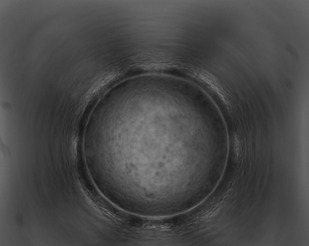 X0000090890491200708031055