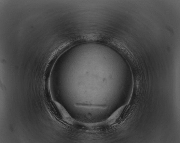 X0000090890492200708031055