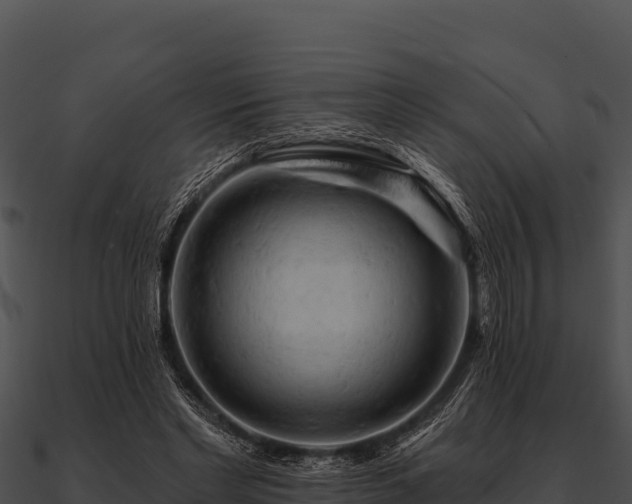 X0000090890493200708031055