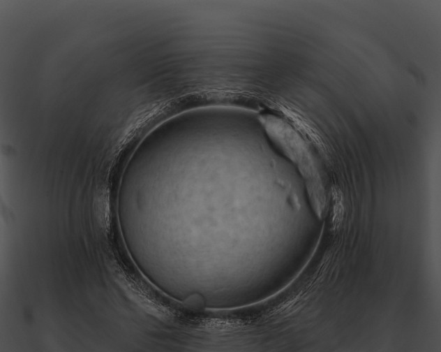 X0000090890494200708031055