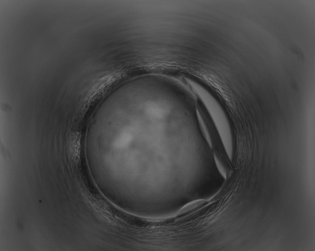 X0000090890495200708031055