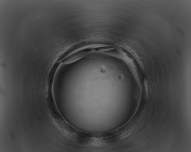 X0000090890496200708031055