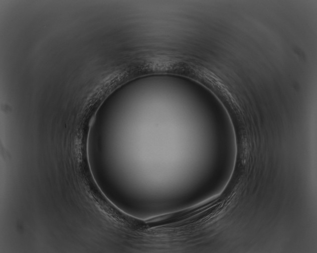 X0000090890497200708031055