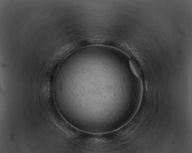 X0000090890498200708031055