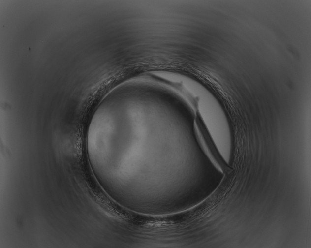 X0000090890499200708031055