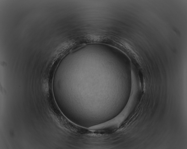 X0000090890500200708031055