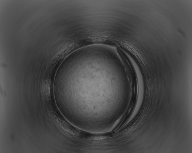 X0000090890501200708031055