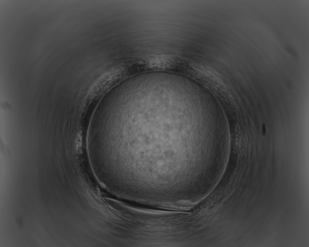 X0000090890502200708031055