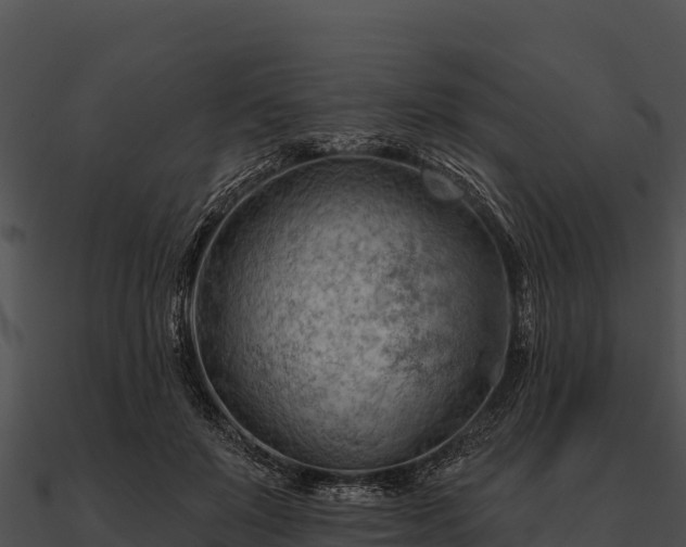 X0000090890503200708031055