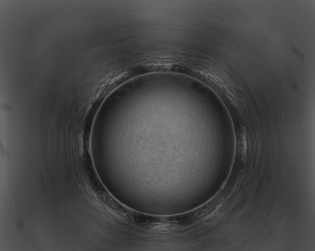 X0000090890504200708031055