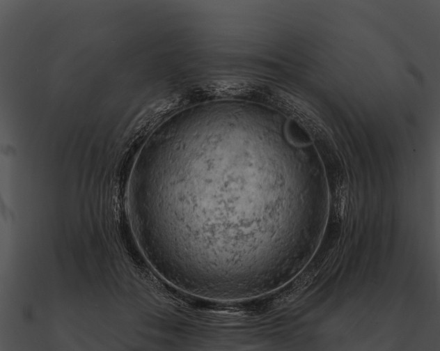 X0000090890506200708031055