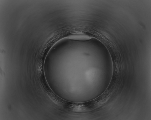 X0000090890507200708031055