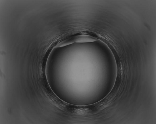 X0000090890508200708031055