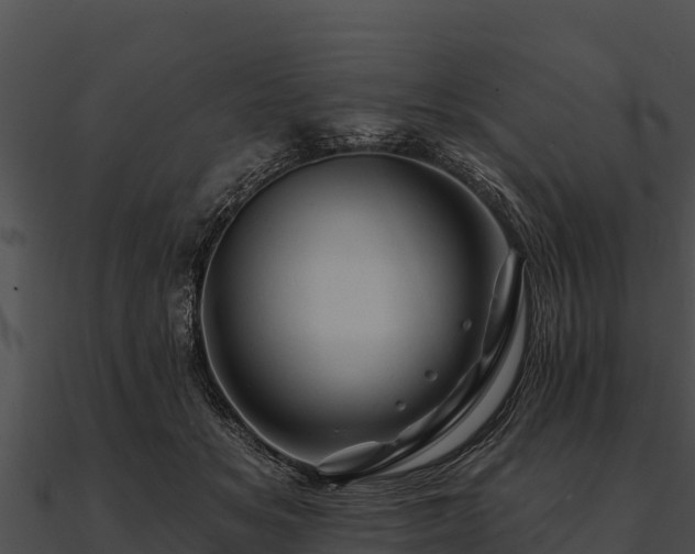 X0000090890509200708031055