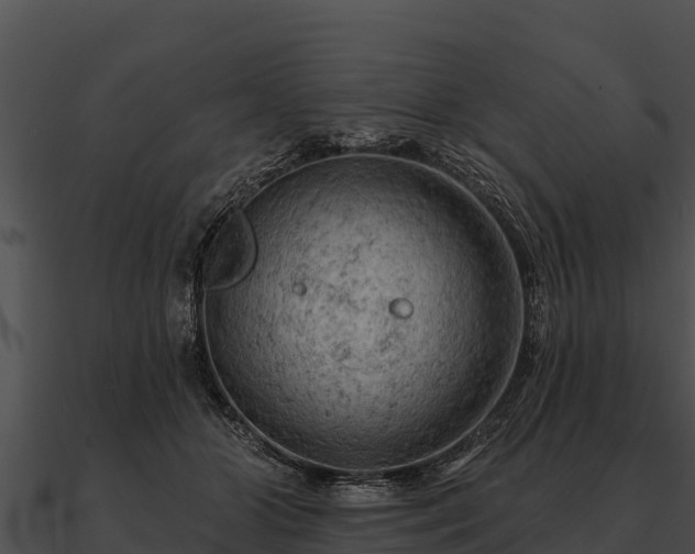 X0000090890510200708031055