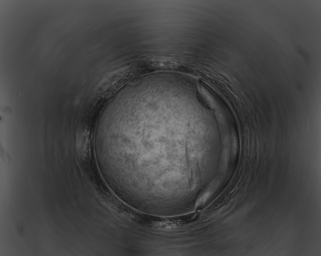 X0000090890511200708031055