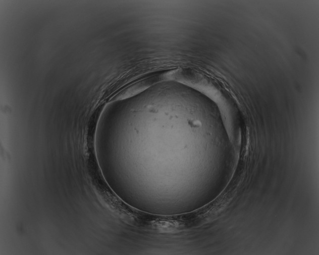 X0000090890512200708031055